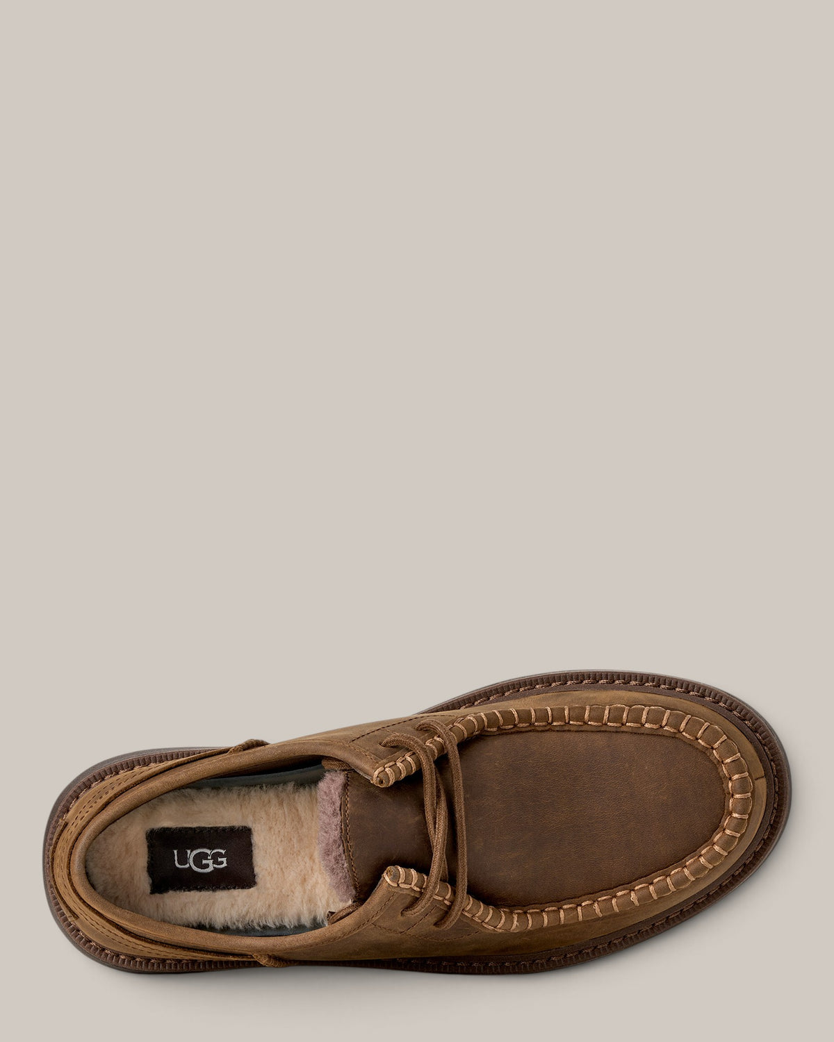 Ugg Stringate Loften