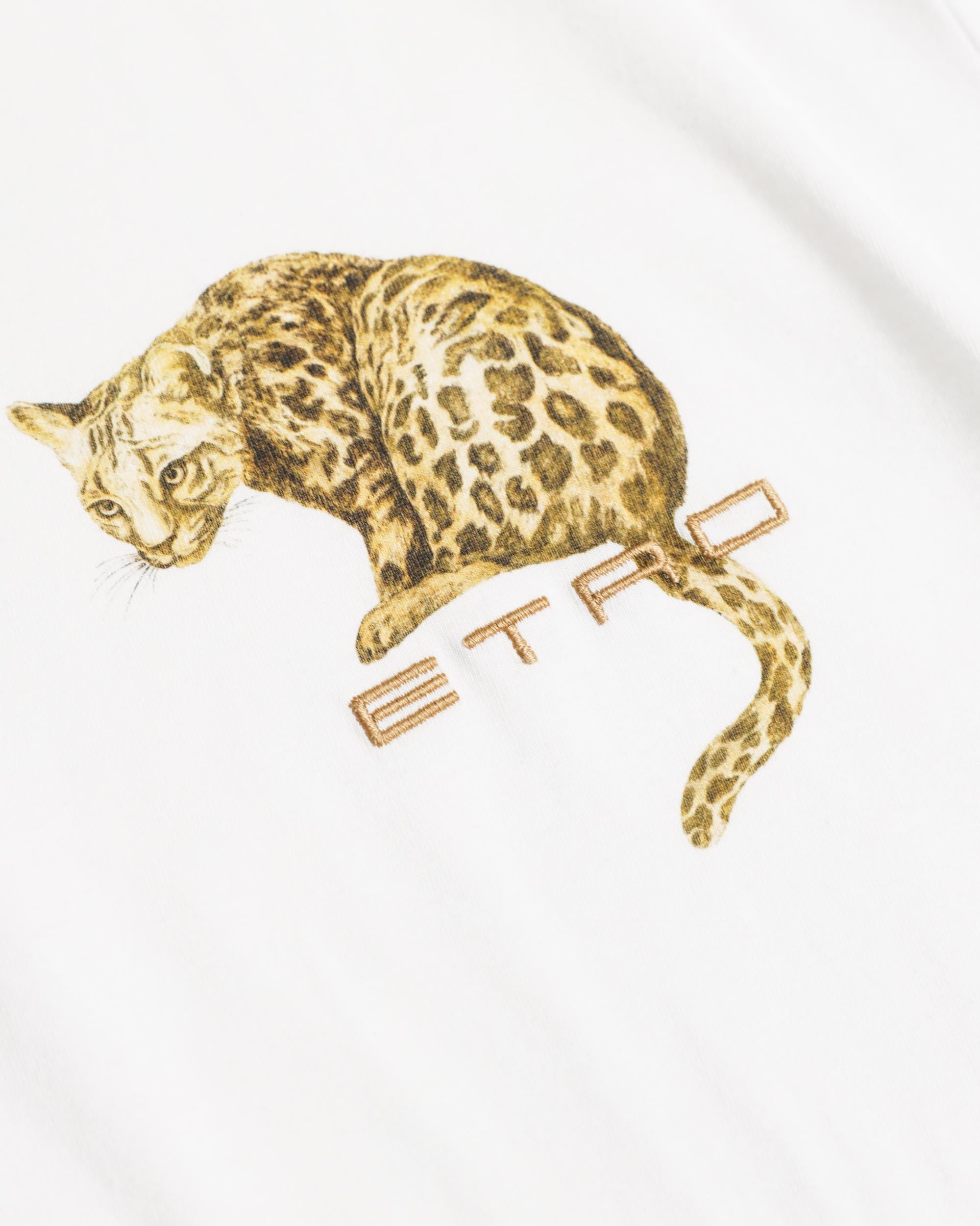 Etro T-Shirt Rome
