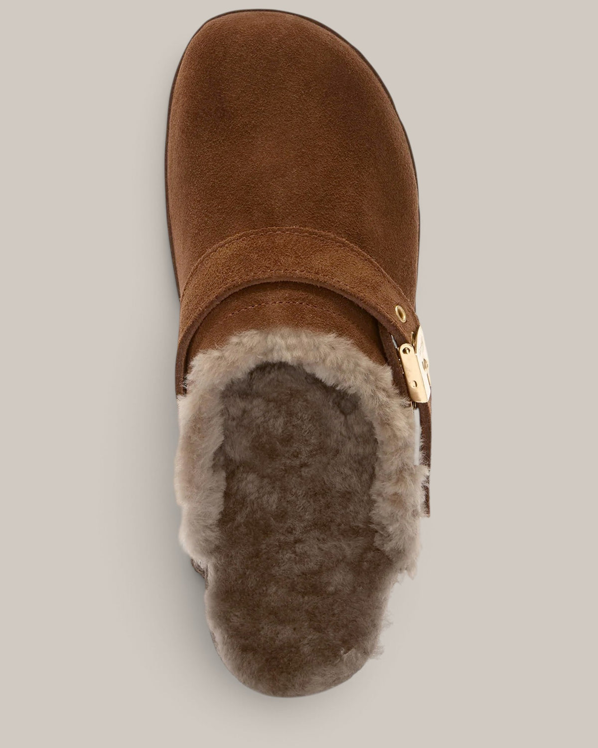Scholl Mules Pescura Robin Fur